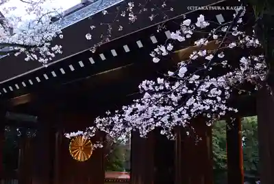 靖國神社(東京都)