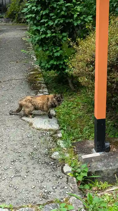 十輪寺(京都府)