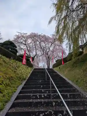 身照寺の{uncategorized: "未分類", other: "その他", undefined: "問題あり", building: "その他建物", grave: "お墓", sacred_gate: "鳥居", guardian: "狛犬", statue: "像", buddha: "仏像", history: "歴史", nature: "自然", garden: "庭園", animal: "動物", pagoda: "塔", temizu: "手水舎", mountain_gate: "山門・神門", sanctuary: "本殿・本堂", subordinate: "末社・摂社", art: "芸術", scenery: "景色", jizo: "地蔵", ema: "絵馬", goshuin: "御朱印", omikuji: "おみくじ", items: "授与品その他", amulet: "お守り", goshuincho: "御朱印帳", eats: "食事", festival: "お祭り", votive_dance: "神楽", shichigosan: "七五三参", wedding: "結婚式", experience: "体験その他", initially: "初詣", around: "周辺", anti_infection: "感染症対策"}