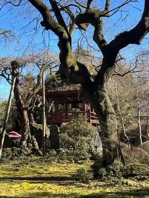 光丸山 法輪寺(栃木県)