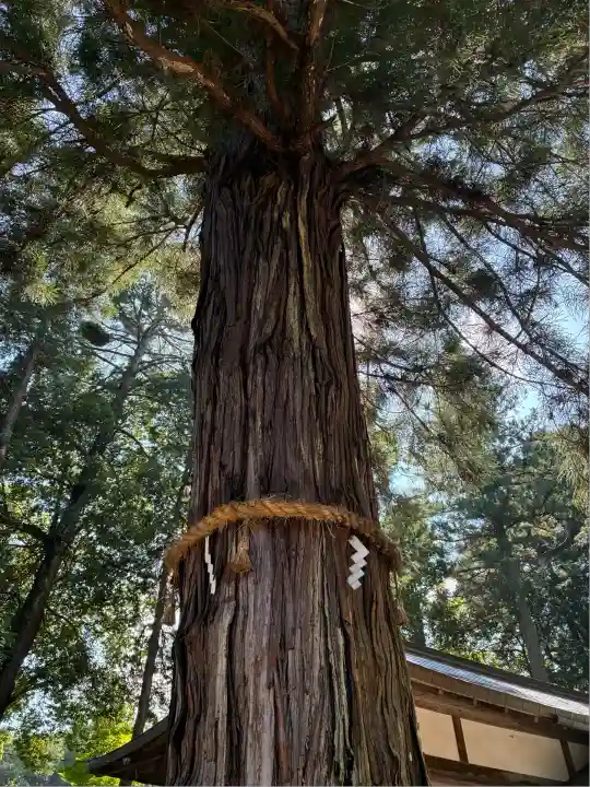 高倉神社(京都府)