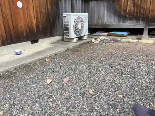 八幡社（柏井町）の動物