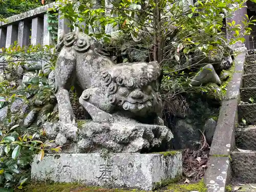 琴平神社の狛犬