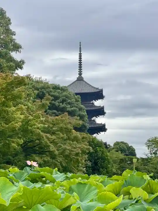 東寺(教王護国寺)の塔