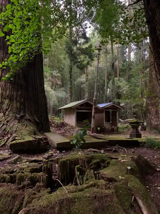 三社神社(千葉県)