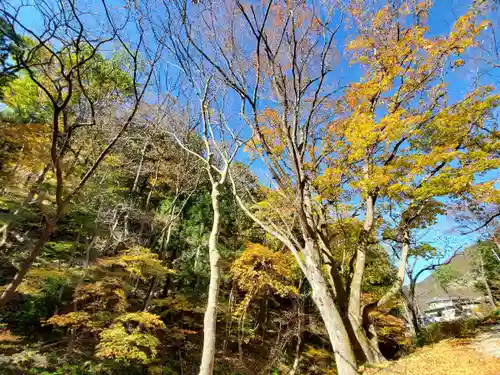 大峯不動尊の自然