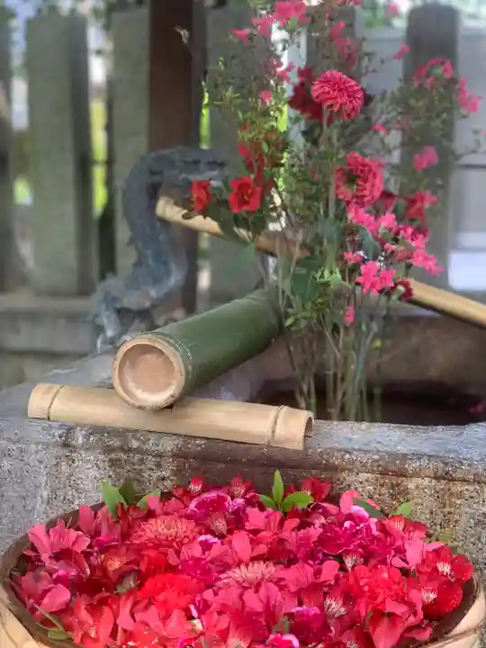 野見神社の手水舎