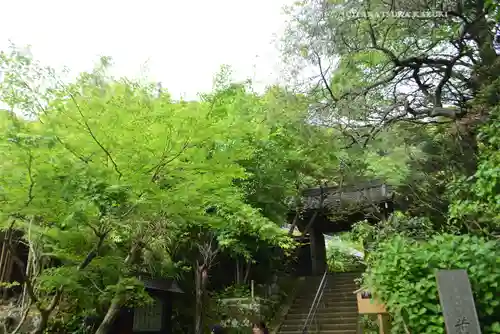 円覚寺(神奈川県)