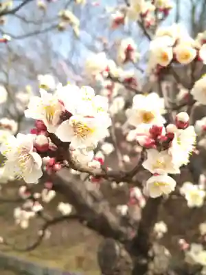 神前神社の自然