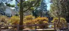 静岡浅間神社(静岡県)