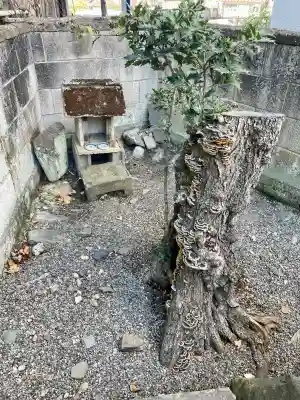 山王社の{uncategorized: "未分類", other: "その他", undefined: "問題あり", building: "その他建物", grave: "お墓", sacred_gate: "鳥居", guardian: "狛犬", statue: "像", buddha: "仏像", history: "歴史", nature: "自然", garden: "庭園", animal: "動物", pagoda: "塔", temizu: "手水舎", mountain_gate: "山門・神門", sanctuary: "本殿・本堂", subordinate: "末社・摂社", art: "芸術", scenery: "景色", jizo: "地蔵", ema: "絵馬", goshuin: "御朱印", omikuji: "おみくじ", items: "授与品その他", amulet: "お守り", goshuincho: "御朱印帳", eats: "食事", festival: "お祭り", votive_dance: "神楽", shichigosan: "七五三参", wedding: "結婚式", experience: "体験その他", initially: "初詣", around: "周辺", anti_infection: "感染症対策"}
