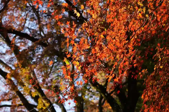 談山神社(奈良県)