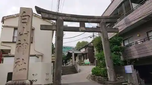 白山神社の鳥居