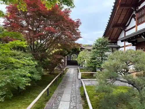 興臨院の{uncategorized: "未分類", other: "その他", undefined: "問題あり", building: "その他建物", grave: "お墓", sacred_gate: "鳥居", guardian: "狛犬", statue: "像", buddha: "仏像", history: "歴史", nature: "自然", garden: "庭園", animal: "動物", pagoda: "塔", temizu: "手水舎", mountain_gate: "山門・神門", sanctuary: "本殿・本堂", subordinate: "末社・摂社", art: "芸術", scenery: "景色", jizo: "地蔵", ema: "絵馬", goshuin: "御朱印", omikuji: "おみくじ", items: "授与品その他", amulet: "お守り", goshuincho: "御朱印帳", eats: "食事", festival: "お祭り", votive_dance: "神楽", shichigosan: "七五三参", wedding: "結婚式", experience: "体験その他", initially: "初詣", around: "周辺", anti_infection: "感染症対策"}
