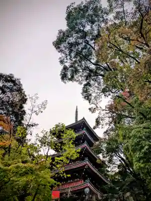 竹林寺の{uncategorized: "未分類", other: "その他", undefined: "問題あり", building: "その他建物", grave: "お墓", sacred_gate: "鳥居", guardian: "狛犬", statue: "像", buddha: "仏像", history: "歴史", nature: "自然", garden: "庭園", animal: "動物", pagoda: "塔", temizu: "手水舎", mountain_gate: "山門・神門", sanctuary: "本殿・本堂", subordinate: "末社・摂社", art: "芸術", scenery: "景色", jizo: "地蔵", ema: "絵馬", goshuin: "御朱印", omikuji: "おみくじ", items: "授与品その他", amulet: "お守り", goshuincho: "御朱印帳", eats: "食事", festival: "お祭り", votive_dance: "神楽", shichigosan: "七五三参", wedding: "結婚式", experience: "体験その他", initially: "初詣", around: "周辺", anti_infection: "感染症対策"}