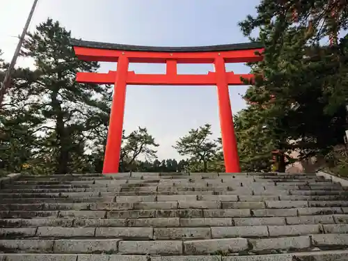 函館護國神社の鳥居