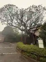 延命院の{uncategorized: "未分類", other: "その他", undefined: "問題あり", building: "その他建物", grave: "お墓", sacred_gate: "鳥居", guardian: "狛犬", statue: "像", buddha: "仏像", history: "歴史", nature: "自然", garden: "庭園", animal: "動物", pagoda: "塔", temizu: "手水舎", mountain_gate: "山門・神門", sanctuary: "本殿・本堂", subordinate: "末社・摂社", art: "芸術", scenery: "景色", jizo: "地蔵", ema: "絵馬", goshuin: "御朱印", omikuji: "おみくじ", items: "授与品その他", amulet: "お守り", goshuincho: "御朱印帳", eats: "食事", festival: "お祭り", votive_dance: "神楽", shichigosan: "七五三参", wedding: "結婚式", experience: "体験その他", initially: "初詣", around: "周辺", anti_infection: "感染症対策"}