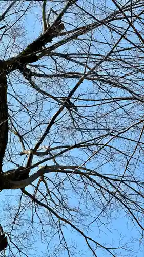 呉服神社(大阪府)