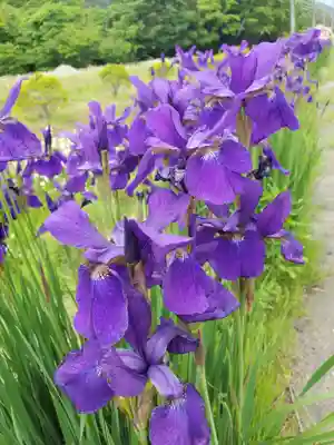 高司神社〜むすびの神の鎮まる社〜(福島県)