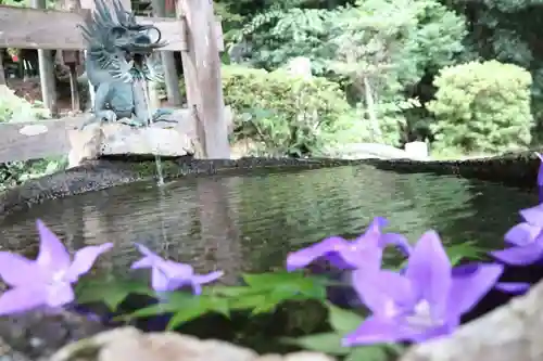 鹿島大神宮の手水