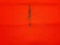 蓮久寺の授与品その他