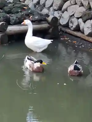 生島足島神社(長野県)