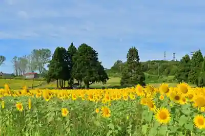 沢山神社(澤山神社)の自然