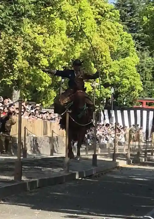 鶴岡八幡宮(神奈川県)