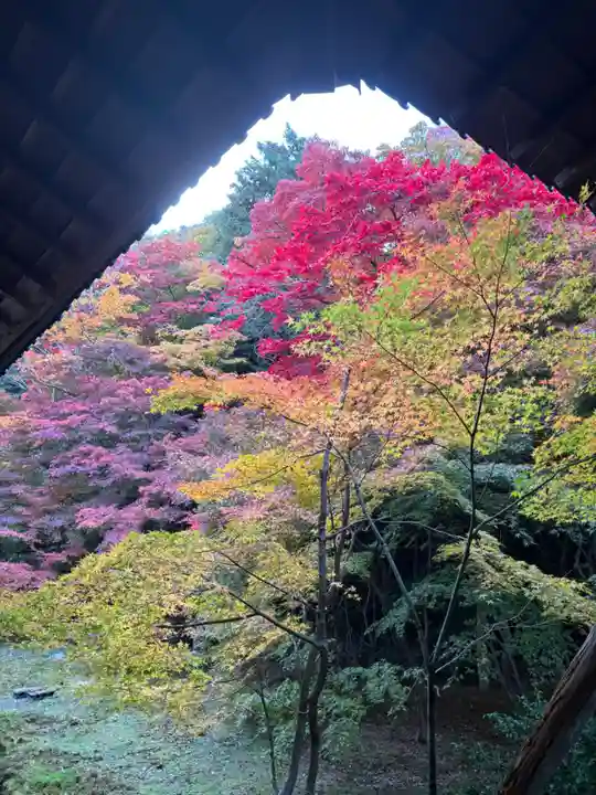 実相院門跡(京都府)