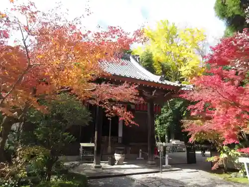 赤山禅院の本殿・本堂