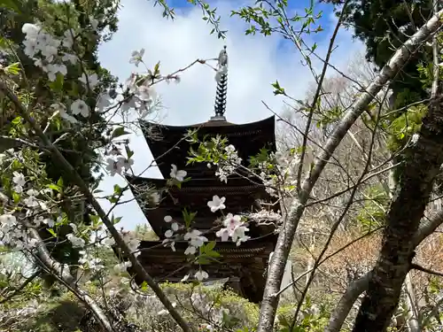 国宝 大法寺の塔