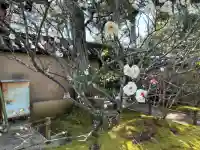 大仙院の{uncategorized: "未分類", other: "その他", undefined: "問題あり", building: "その他建物", grave: "お墓", sacred_gate: "鳥居", guardian: "狛犬", statue: "像", buddha: "仏像", history: "歴史", nature: "自然", garden: "庭園", animal: "動物", pagoda: "塔", temizu: "手水舎", mountain_gate: "山門・神門", sanctuary: "本殿・本堂", subordinate: "末社・摂社", art: "芸術", scenery: "景色", jizo: "地蔵", ema: "絵馬", goshuin: "御朱印", omikuji: "おみくじ", items: "授与品その他", amulet: "お守り", goshuincho: "御朱印帳", eats: "食事", festival: "お祭り", votive_dance: "神楽", shichigosan: "七五三参", wedding: "結婚式", experience: "体験その他", initially: "初詣", around: "周辺", anti_infection: "感染症対策"}