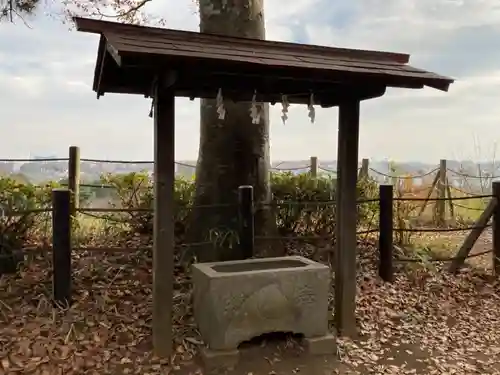 城山神社の手水舎