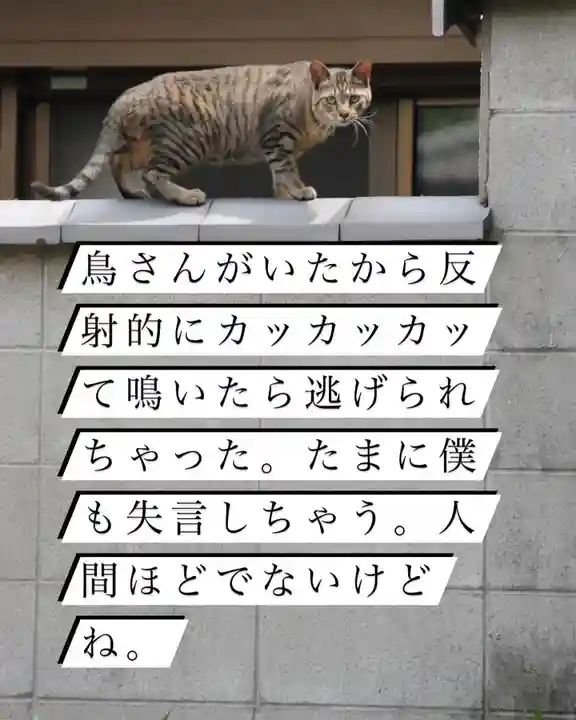 専念寺(大阪府)