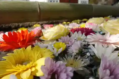菅原天満宮(菅原神社)の手水舎