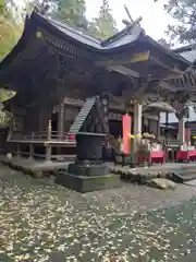 宝登山神社(埼玉県)