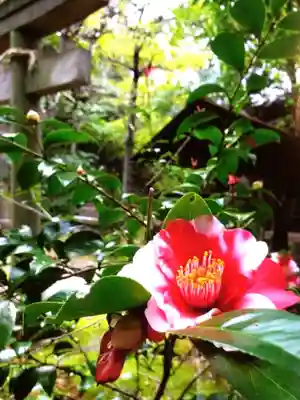 赤坂氷川神社(東京都)