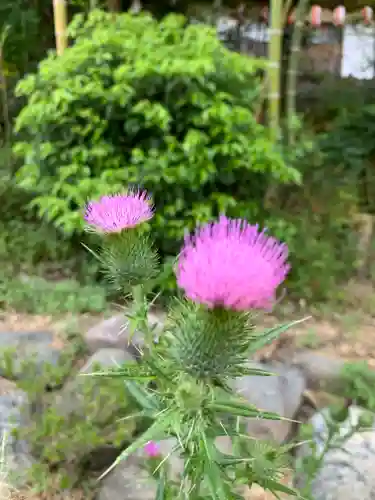 三寳大荒神社の自然