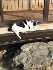 唐澤山神社の動物