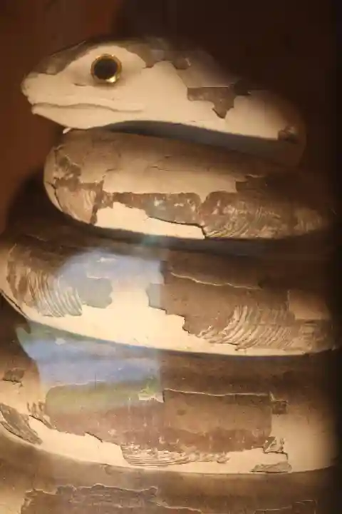 神野寺(千葉県)