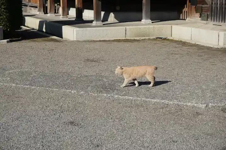 赤羽八幡神社の動物