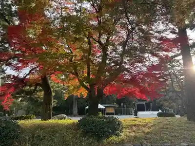 伊勢神宮外宮（豊受大神宮）(三重県)