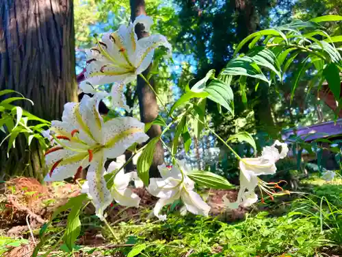 吾妻神社(群馬県)