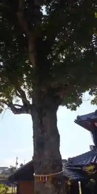 龍宮神社の自然