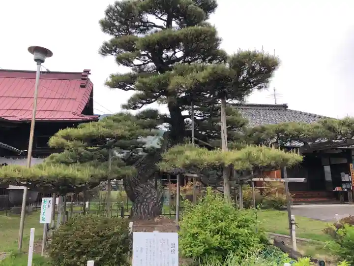 上田大神宮の{uncategorized: "未分類", other: "その他", undefined: "問題あり", building: "その他建物", grave: "お墓", sacred_gate: "鳥居", guardian: "狛犬", statue: "像", buddha: "仏像", history: "歴史", nature: "自然", garden: "庭園", animal: "動物", pagoda: "塔", temizu: "手水舎", mountain_gate: "山門・神門", sanctuary: "本殿・本堂", subordinate: "末社・摂社", art: "芸術", scenery: "景色", jizo: "地蔵", ema: "絵馬", goshuin: "御朱印", omikuji: "おみくじ", items: "授与品その他", amulet: "お守り", goshuincho: "御朱印帳", eats: "食事", festival: "お祭り", votive_dance: "神楽", shichigosan: "七五三参", wedding: "結婚式", experience: "体験その他", initially: "初詣", around: "周辺", anti_infection: "感染症対策"}