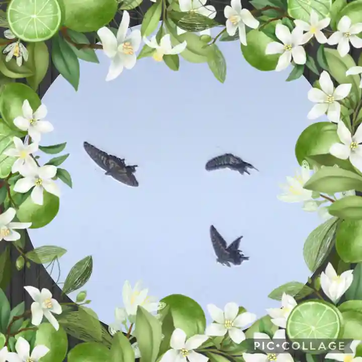 鴻八幡宮の周辺