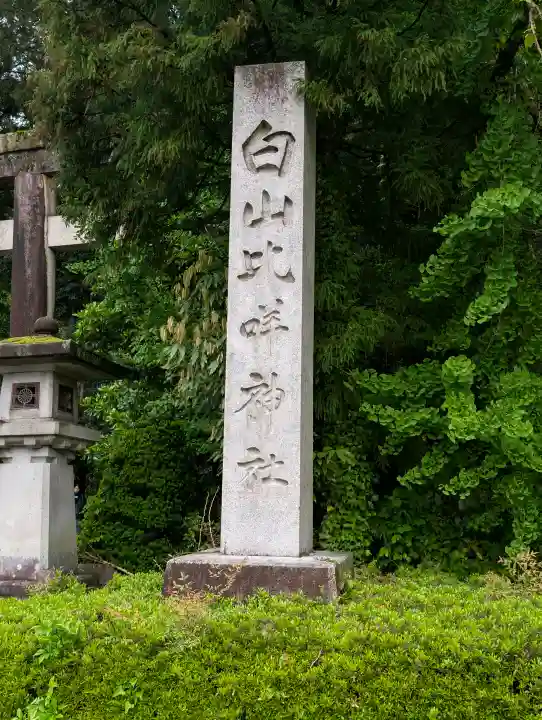 白山比咩神社の{uncategorized: "未分類", other: "その他", undefined: "問題あり", building: "その他建物", grave: "お墓", sacred_gate: "鳥居", guardian: "狛犬", statue: "像", buddha: "仏像", history: "歴史", nature: "自然", garden: "庭園", animal: "動物", pagoda: "塔", temizu: "手水舎", mountain_gate: "山門・神門", sanctuary: "本殿・本堂", subordinate: "末社・摂社", art: "芸術", scenery: "景色", jizo: "地蔵", ema: "絵馬", goshuin: "御朱印", omikuji: "おみくじ", items: "授与品その他", amulet: "お守り", goshuincho: "御朱印帳", eats: "食事", festival: "お祭り", votive_dance: "神楽", shichigosan: "七五三参", wedding: "結婚式", experience: "体験その他", initially: "初詣", around: "周辺", anti_infection: "感染症対策"}