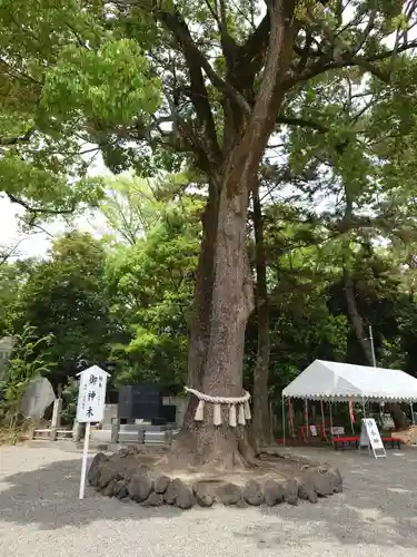 玉村八幡宮の庭園