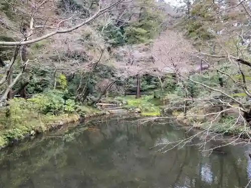 鶴岡八幡宮の庭園