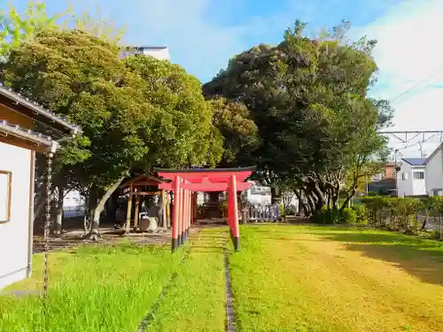 神明社（加福神明社）の鳥居